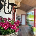 Quinta Da Mainha - Charming - Com Piscina Privada Брага