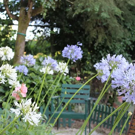 Quinta Da Mainha - Charming - Escape To Nature 度假居