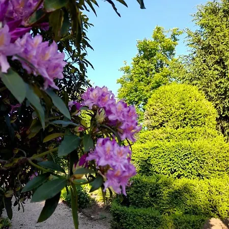 Дом отдыха Quinta Da Mainha - Charming - Escape To Nature