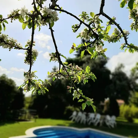 Hébergement de vacances Quinta Da Mainha - Charming - Escape To Nature Braga