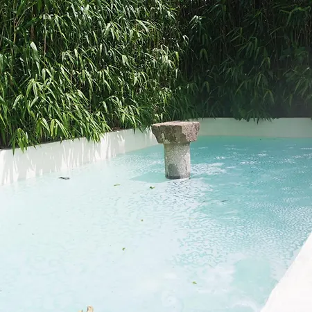 Quinta Da Mainha - Charming - Escape To Nature Hébergement de vacances *