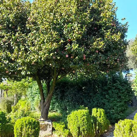 Quinta Da Mainha - Charming - Escape To Nature