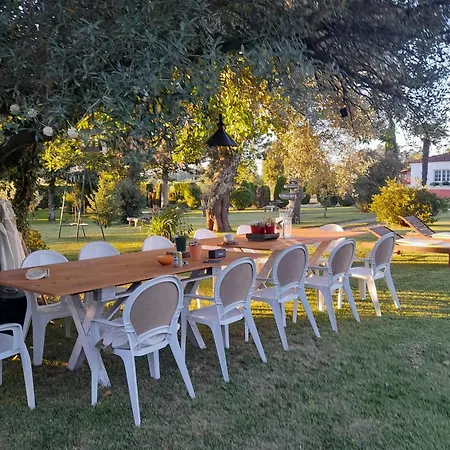 Quinta Da Mainha - Charming - Escape To Nature * בראגה