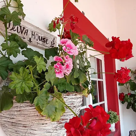 Quinta Da Mainha - Charming - Escape To Nature * בראגה