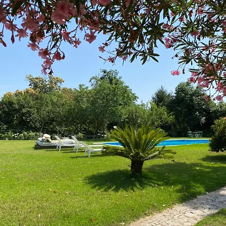 Quinta Da Mainha - Charming - Escape To Nature