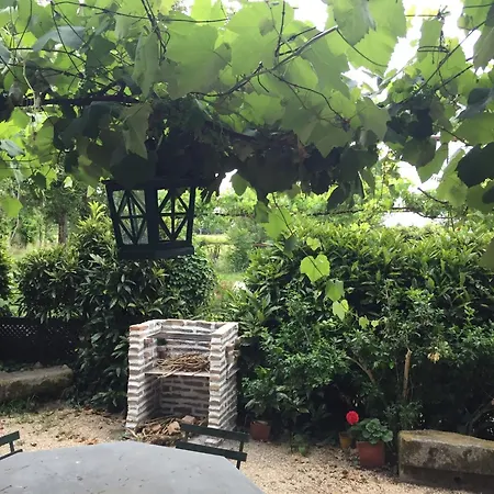 Quinta Da Mainha - Charming - Escape To Nature Дом отдыха *