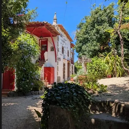 Feriehus Quinta Da Mainha - Charming - Com Piscina Privada