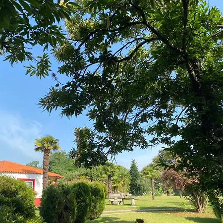 Quinta Da Mainha - Charming - Escape To Nature * Braga