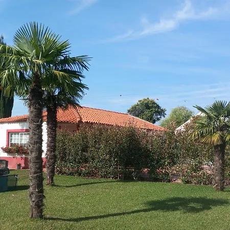 Quinta Da Mainha - Charming - Escape To Nature בית נופש