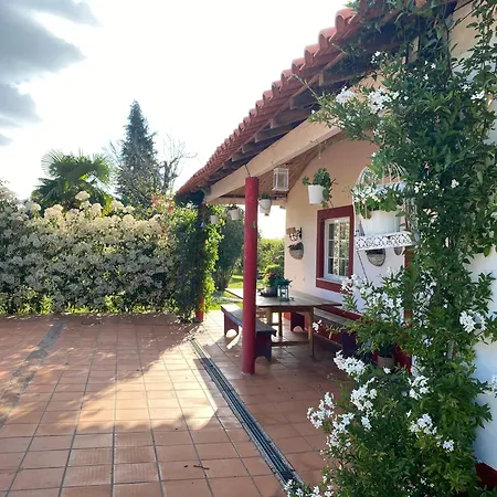 Quinta Da Mainha - Charming - Com Piscina Privada Feriehus *