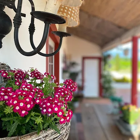 Quinta Da Mainha - Charming - Com Piscina Privada Брага