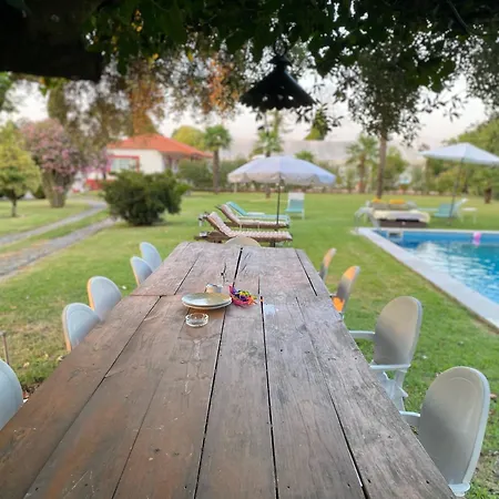 Quinta Da Maínha - Charming - Escape To Nature Braga