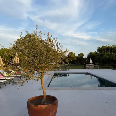 Quinta Da Mainha - Charming - Com Piscina Privada براغا