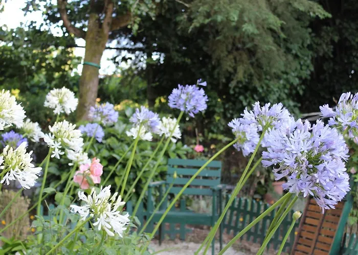 Quinta Da Mainha - Charming - Escape To Nature Dom wakacyjny