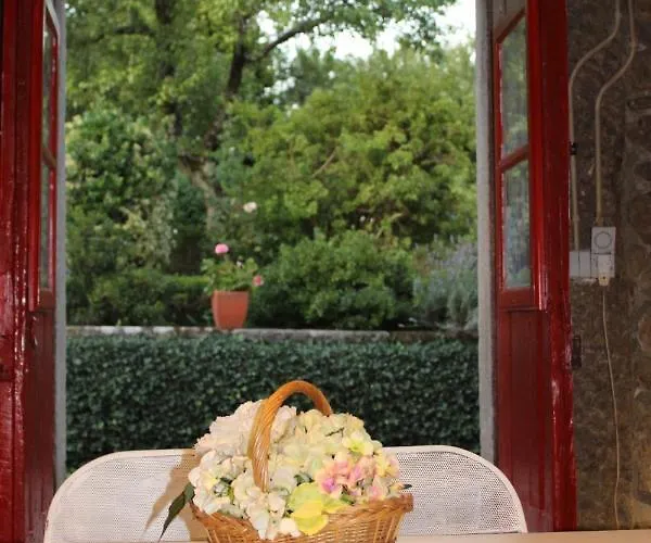 Quinta Da Mainha - Charming - Escape To Nature 펜션