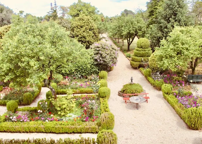 Quinta Da Mainha - Charming - Escape To Nature Dom wakacyjny *