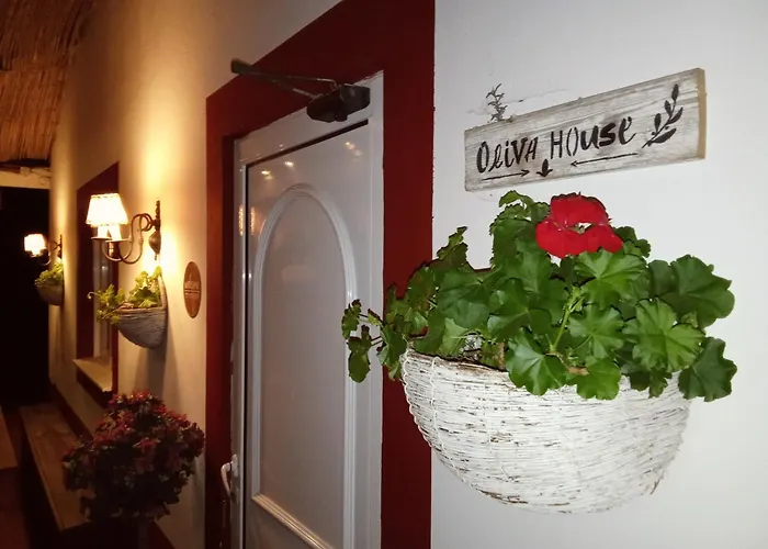 Quinta Da Mainha - Charming - Escape To Nature Dom wakacyjny