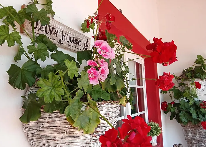 Quinta Da Mainha - Charming - Escape To Nature * 브라가