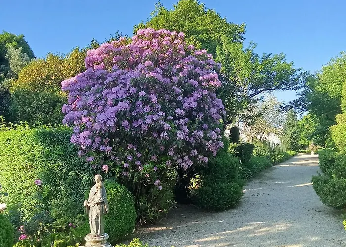 펜션 Quinta Da Mainha - Charming - Escape To Nature 브라가