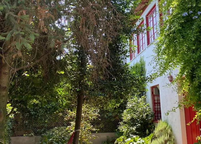 Quinta Da Mainha - Charming - Escape To Nature Dom wakacyjny *