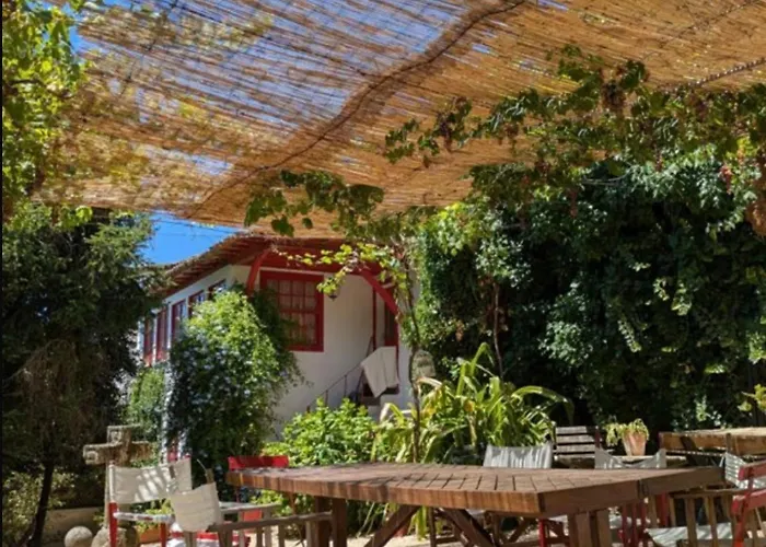 Quinta Da Mainha - Charming - Escape To Nature *