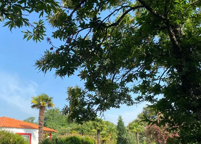 Quinta Da Mainha - Charming - Escape To Nature * 브라가